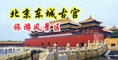 美女插插不穿衣服不打马赛克免费视频中国北京-东城古宫旅游风景区